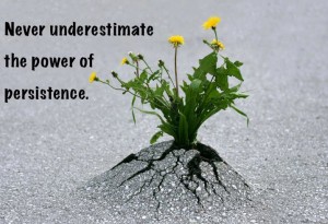 business persistence